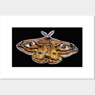 Moth Posters and Art